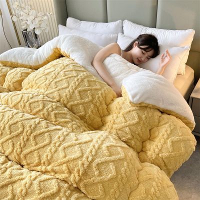 ATYUJKB Queen Size Down Comforter Duvet 110x150cm/1.5kg, Bedding Sets Queen with Comforter, Lightweight Comforter Duvet, Reversible Lightweight Soft Comforter, Down Comforter California
