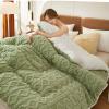 ATYUJKB Queen Size Down Comforter Duvet 110x150cm/1.5kg, Bedding Sets Queen with Comforter, Lightweight Comforter Duvet, Reversible Lightweight Soft Comforter, Down Comforter California view 3