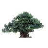 Fake Plant Decoration Artificial Bonsai Tree Plant Decoration Potted Artificial Pine Tree for Garden Living Room Office Decoration Ornaments Artificial Plants view 3