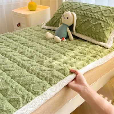 CHDGSJ Taffeta Plush Mattress, Folding Mattress Topper Breathable Mattress Pad Travel and Guest Mat Bed Pad for Home Camping(D,200 * 220cm)