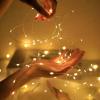 Neroupe LED String Light Copper Wire Outdoor Led Garland Lamp Christmas Fairy Light for Christmas Tree Wedding Party Home Decoration view 2