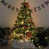 Neroupe LED String Light Copper Wire Outdoor Led Garland Lamp Christmas Fairy Light for Christmas Tree Wedding Party Home Decoration view 4