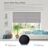 ACMEART Motorized Zebra Shades with Remote,Dual Layer Automatic Window Blinds,Blackout Electric Blinds for Home Office Custom Size (Dark Grey) view 2