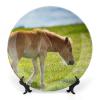 Animal Horse Decorative Plate for Kitchen Accent Ceramic Wall Hanging Souvenir with Display Stand Collectible Plate for Wedding Holiday Party Supplies Home Decor 6" view 1