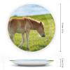 Animal Horse Decorative Plate for Kitchen Accent Ceramic Wall Hanging Souvenir with Display Stand Collectible Plate for Wedding Holiday Party Supplies Home Decor 6" view 2