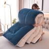 DASJD Cashmere Quilt, Super Soft Thick Winter Warm Wool Comforter, Thickened Fluffy Lamb Velvet Duvet Quilts Double-Sided Blanket for Home Bedroom,Blue,220x240cm/5kg view 1