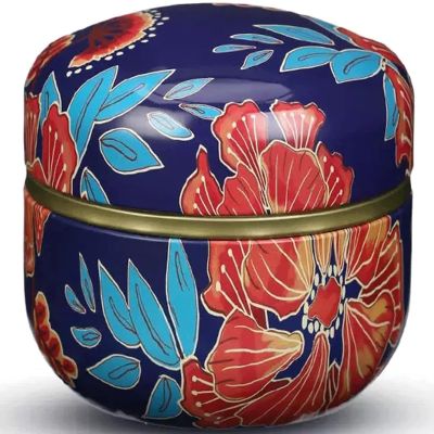HSHTTKL Sugar Bowl Metal Tea Caddy, Mini Portable Travel Tea Canister with Airtight Lid, Storage Jar for Coffee Herb Candy Chocolate Sugar Spices New