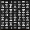 Well Woven Geometric Modern Washable 7'10" x 9'10" Area Rug - Black + White Overlapping Circles Dark - for Living Room, Dining Room and Bedroom view 3