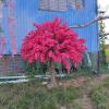 ESRADA Simulation Plant,Japanese Artificial Cherry Blossom Trees, Peach Blossom Tree,Handmade Fake Silk Flower Wedding Event Party Restaurant Mall Decor 3 * 2.5m view 1