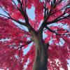 ESRADA Simulation Plant,Japanese Artificial Cherry Blossom Trees, Peach Blossom Tree,Handmade Fake Silk Flower Wedding Event Party Restaurant Mall Decor 3 * 2.5m view 4