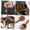 Cabilock 10pcs Wooden Scoop Spoons Slotted Spoons for Coffee Grounds Tea Sugar Measurement view 3