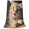 Cute Cat Paw Print Flannel Blanket Lightweight Ultra-Soft Warm Throw Blanket 40"X30" Travel Blanket All Seasons Blanket for Bed Sofa Office Living Room Camping Gifts view 3