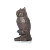 Fengtaike Rustic Cast Iron Owl Statue - Decorative Collectible Figurine for Home, Indoor Shelf Decor, Garden Ornament view 4