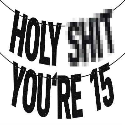 Black Glitter Holy Shit You're 15 Banner, Happy 15th Birthday/Cheers to 15 Years/Mis 15 Quince, Funny 15th Birthday Party Decorations Supplies