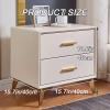 WHYATT Large-Capacity Bedside Table, Practical Side Table with 2 Drawers, Home Light Luxury Nightstand, Suitable for Home use (Color : Light Gray) view 2