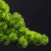 Artificial Bonsai Tree Artificial Welcoming Pine Bonsai Porch Cabinet Hotel Decoration Artificial Bonsai Tree Living Room Zen Ornaments Simulation Tree Artificial Plants Indoor Fake Plants Bonsai Tree view 3