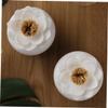 Holibanna Bathroom Dressing Table Essential Lotus Shape Cotton Swab Toothpick Holder Storage Box with Lid Cosmetic Tips Organizer Toothpicks Dispenser White view 4