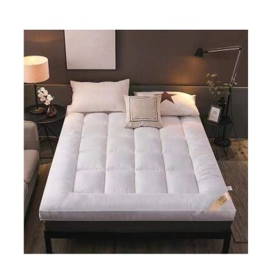 Japanese Floor Mattress Portable Foldable Mattress Single Double Folding Tatami Floor Mat Futon Mattress Full Size(Color:C,Size:120X190cm)