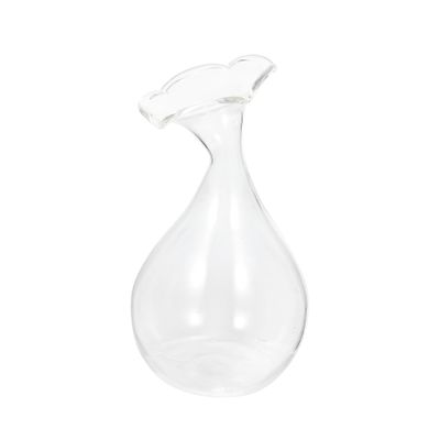 BESPORTBLE 1pc Clear Glass Vase Transparent Glass Vase Flower Pot Wedding Decorations Vintage Decor Hydroponic Planter Floor Decor Glass Craft Vase Glass Crafts Delicate Container Flowerpot