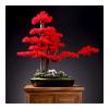 Artificial Plants Artificial Bonsai Tree Indoor Large Fake Plants Decor with Ceramic Pots Red Leaves and Pony Sculpture for Home Table Office Desk Bedroom Living Room Decorations Fake Plants Decor view 1