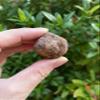 GAF TREASURES 1/2 LB Raw Garnet Crystals, Natural Garnet Stone, Natural Rough Garnet Crystals, Garnet Rough, Garnet Healing Crystals (Garnet) view 4