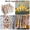 6 Pack Birch Logs Decorative Natural Birch Log for Decoration,Crafts,DIY,White Birch Logs for Fireplace Decor Firewood(Logs:1.4"-2.6" Dia. x 16.5" Length) view 4