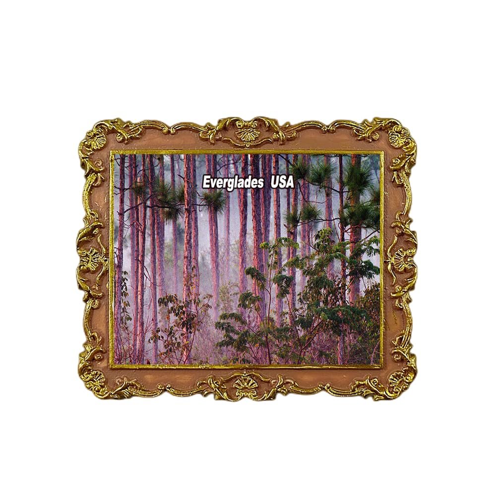 Everglades USA Refrigerator Magnet 3D Travel Souvenir Fridge Decoration Magnetic Sticker Craft Collection