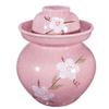 GVILTY Cute Ceramic Pickle Jar With Lids,Large Traditional Chinese Porcelain Pickle Jar Pickling Jars,Ceramic Fermentation Crock With Water Seal Airlock Lid,Sauerkraut Croc Pink-0.75L view 1