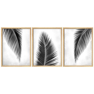 SIGNWIN Framed Poster Black and White Palm Leaf Illustration Nature Wilderness Decorative Floral Botanical Garden Multicolor for Living Room, Bedroom, Office - 11"x14"x 3 Natural