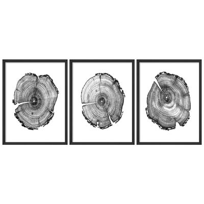 SIGNWIN Framed Poster Black and White Tree Rings Illustration Nature Wilderness Decorative Floral Botanical Garden Multicolor for Living Room, Bedroom, Office - 11"x14"x 3 Black