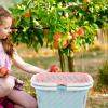 HOLIDYOYO Hollow Basket for Fruit Storage Small Plastic Baskets Handles for Laundry Room view 3