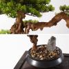 Artificial Bonsai Tree Artificial Bonsai Tree Home Green Simulation Tree Living Room Office Desktop Decor Simulation Welcome Pine Bonsai Tree Ceramic Vase Artificial Plants Indoor Fake Plants Bonsai T view 3