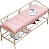 Entryway Bench, Shoe Bench for Living Room, 80CM Shoe Storage Bench with Metal Frame Shoe Stool with Back Hallway Free Standing Shoe Racks for Entryway, Living Room, Bedroom (Color : Pink) view 1