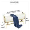 Entryway Bench, Shoe Bench for Living Room, Luxurious End of Bed Bench, Leather Upholstered Bedroom Bench Bench Seat,Modern Multifunction Shoe Bench Entryway Bench (Size : 80x35x45cm(31x14x18inch)) view 2