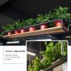Ceiling-Mount Shelf, Metal Floating Storage Rack with Adjustable Iron Chain, Industrial Hanging Flower Stand Wine Bottle Holder Decorative Display Shelves for Restaurant, Bar, Cafe ( Size : 100x25x15c view 4