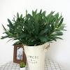 Mokylor 15.7in Artificial Greenery Plant Stems, Artificial Plants Olive Tree Branches Faux Olive Leaves Stems, Fake Olive Leaves Plant for Floral Arrangement Vase Bouquets Wedding Greenery Decor(#1) view 4