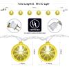 Bokoiuu 8.5FT 3D Lemon Outdoor String Lights, 10 LED Bulbs, Plug in view 2