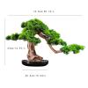 Artificial Bonsai Tree Artificial Plants Bonsai Pine Tree, 16 Inches Faux House Welcoming Pine Pot Plants, Simulation Pine for Office, Zen Garden Decoration Artificial Plants Indoor Fake Plants Bonsai view 2