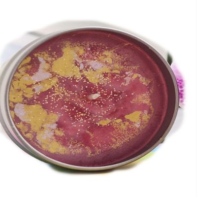 Aphrodite - Greek Goddess of Beauty and Love - 4 Ounce Soy Candle