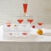 HOLIDYOYO Party Acrylic Shot Glass Holder Rack Display Organizer for Home Birthdays Weddings and Graduations Washable Reusable Design view 2