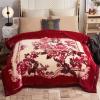 Wemune Heavy Fleece Blanket Korean Mink Blanket, 2 Ply Reverisible Super Soft Blanket Faux Korean Mink Blanket Throw Warm Blanket,F,180x220cm view 1