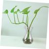 ABOOFAN 2pcs Transparent Hydroponic Plant Vase Simple Glass Flower Arrangement Container for Desktop Decor for Home Office and Garden Use view 3