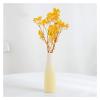 GLigeT Artificial Flowers Faux Flowers,Simulation Gypsophila Flower Bouquet,Artificial Dried Flower with Vase,Yellow Dried Gypsophila Flowers Fake Flowers view 1