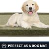 PURRUGS Dirt Trapping Indoor Doormat, 32" x 48", Budding Green & Sage Green view 3