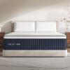 DIGLANT Full Mattress, 14Inch Medium Plush Supportive Memory Foam Hybrid Mattress, Pressure Relief 7-Zone Individual Pocket Springs Full Size Mattress in a Box, CertiPUR-US Certified, 54"*75" view 1