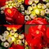 BrickBling Light Kit Compatible with Lego Icons Bouquet of Roses, Dcor Lights Compatible with Lego 10328, Great Gift for Anniversary and Valentine's Day (Lights Only, No Bricks) view 4