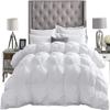 Egyptian Cotton Duvet Cover King Size, Ideal Bedding Gifts for All Occasion, 800 Thread Count 1 pc Duvet Cover,4pc Pillow Shams_Olympic Queen-White Solid view 1