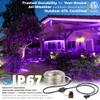 WYZworks 576LEDs 50ft LED Outside Rope Lights, Outdoor ETL Certified Waterproof Permanent 360 Degree Light Emitting, Flexible Tube, Connectable, Christmas Palm Tree Exterior Landscape, Purple view 2