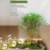 ESRADA Artificial Japanese Bell Tree, Fake Trees,Tall Fake Plants Faux Tree for Home Decor Indoor Outdoors Green 0.8m/31.5in view 2