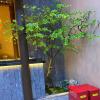 ESRADA Artificial Japanese Bell Tree, Fake Trees,Tall Fake Plants Faux Tree for Home Decor Indoor Outdoors Green 0.8m/31.5in view 4
